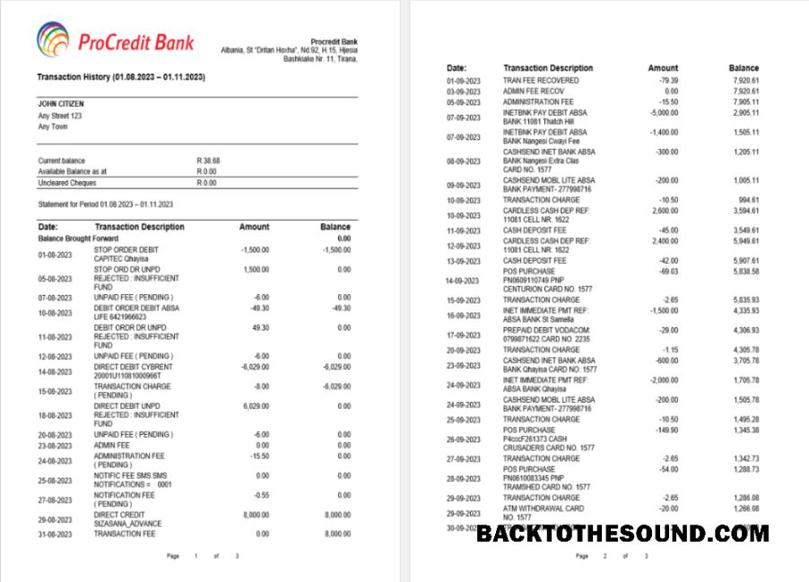 Gerçekçi İndir Arnavutluk ProCreditBank Banka Hesap Özeti Word and PDF Şablon, 3 pages Örnek