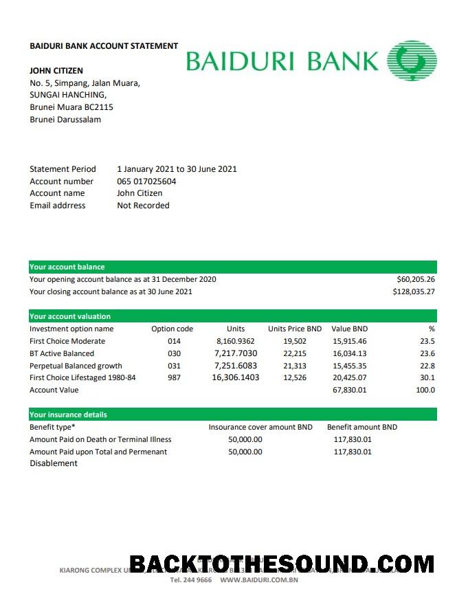 İndir Brunei Baiduri Banka Hesap Özeti easy to fill in Excel and PDF Format (AutoSum) Örnek tasarım