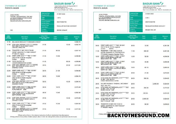 Yüksek Kalite İndir Brunei Baiduri Banka Hesap Özeti, Word and PDF Şablon, 3 pages Örnek