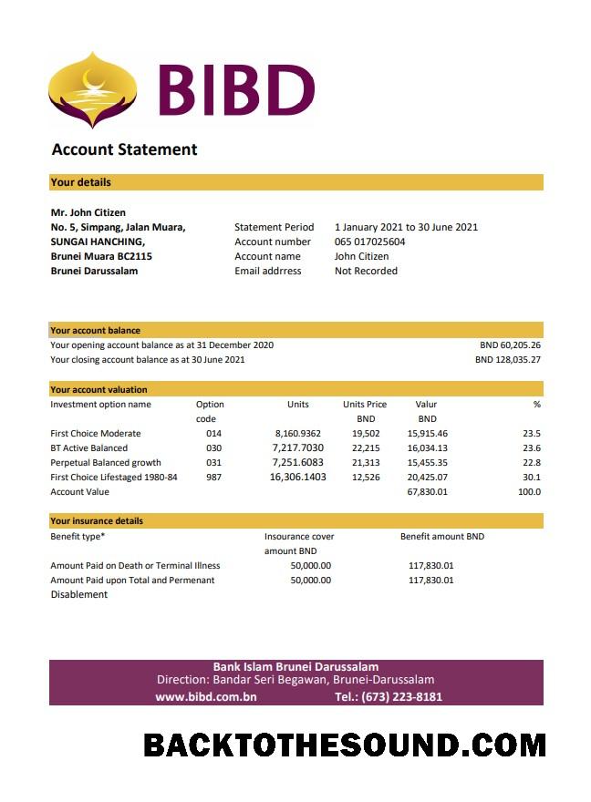 İndir Brunei Banka Islam Brunei Darussalam Banka Hesap Özeti easy to fill in Excel and PDF Format (AutoSum) Örnek ön izleme