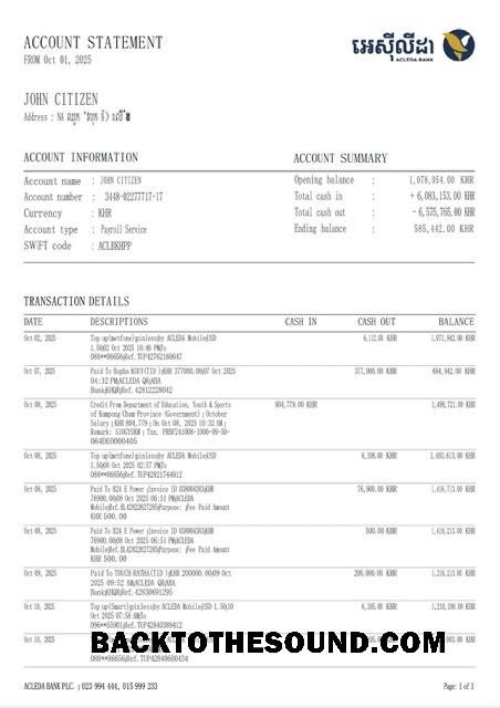 Düzenlenebilir İndir Kamboçya ACLEDA Banka Hesap Hesap Özeti Word and PDF Şablon, Sürüm 2 Örnek