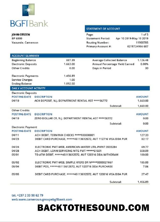 Düzenlenebilir İndir Kamerun BGFI Banka Hesap Özeti Şablon, Word and PDF Format Örnek