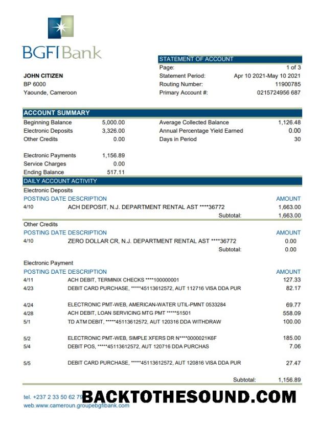 İndir Kamerun BGFI Banka Hesap Özeti easy to fill in Excel and PDF Format Örnek ön izleme