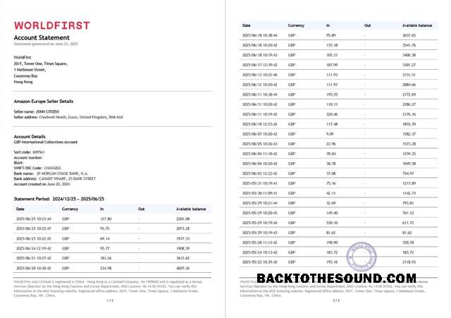 Profesyonel İndir Çin Worldfirst Hesap Hesap Özeti Word and PDF Şablon, 2 pages Örnek