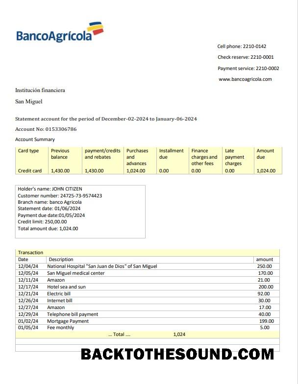 İndir Dominik Cumhuriyeti Banco Agricola Banka Hesap Özeti 3 – 6 months Word and PDF Örnek Örnek ön izleme