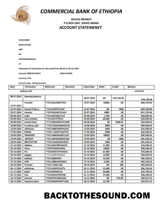 Profesyonel İndir Etiyopya ticari Banka OF Etiyopya Banka Hesap Özeti Şablon, Word and PDF Format, Sürüm 2 Örnek