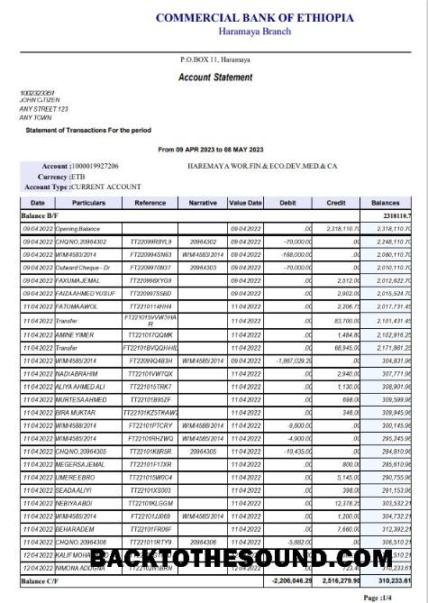 Profesyonel İndir Etiyopya ticari Banka of Ethopia Banka Hesap Özeti Şablon, Word and PDF Format, 4 pages Örnek
