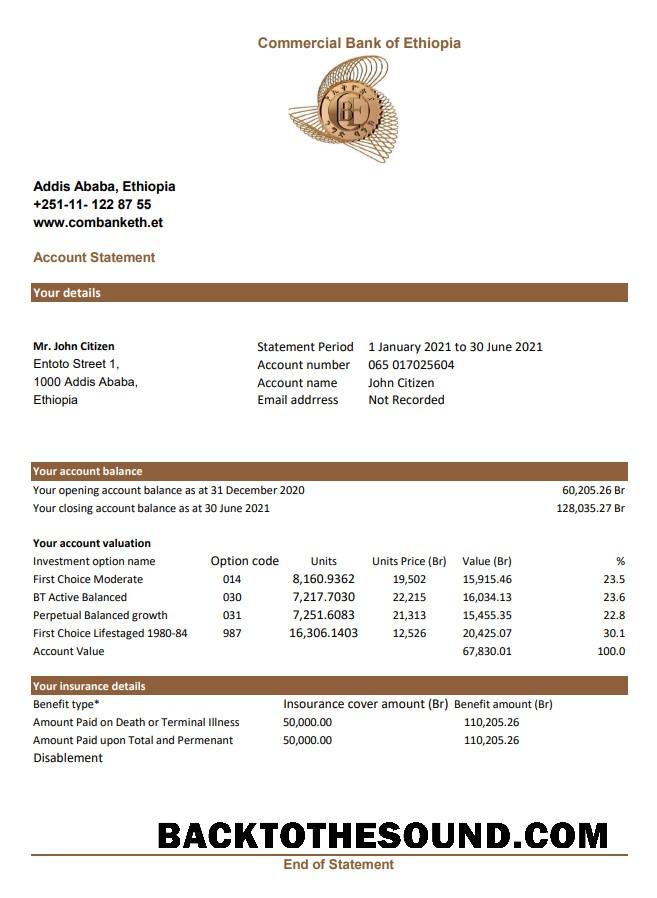 İndir Etiyopya ticari Banka Hesap Özeti easy to fill in Excel and PDF Format Örnek örnek