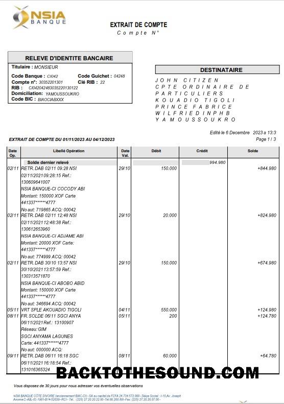 Profesyonel İndir Fransa NSIA Banque Hesap Özeti Word and PDF Şablon, 4 pages Örnek