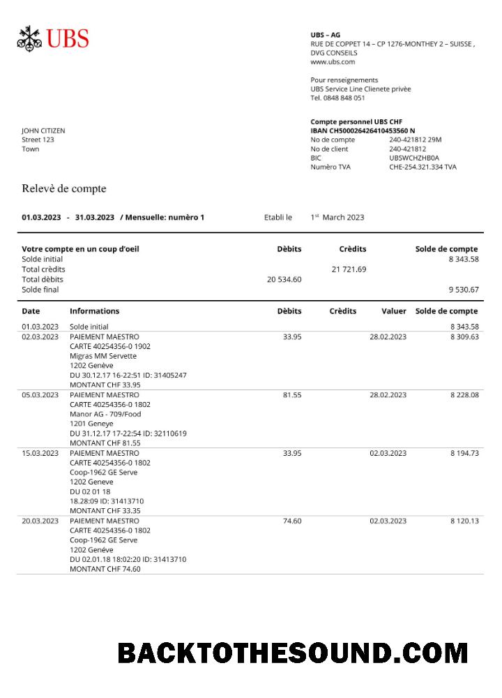 İndir Fransa UBS Banka Hesap Özeti Word and PDF Örnek tasarım