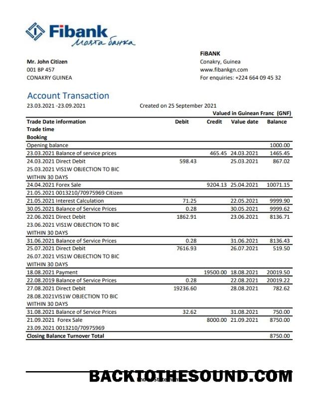 İndir Gine Fibank Banka Hesap Özeti in .XLS and .PDF Dosya Format Örnek ön izleme