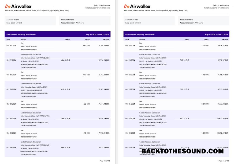 İndir Hong Kong Airwallex Limited Hesap Hesap Özeti, 18 pages 8 Örnek tasarım