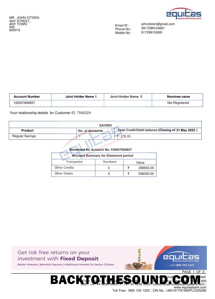 Profesyonel İndir Hindistan EQUITAS Banka Hesap Özeti Şablon, Word and PDF Format Örnek