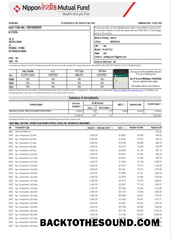 Düzenlenebilir İndir Hindistan NIPPON Banka Hesap Özeti Şablon, Word and PDF Format Örnek