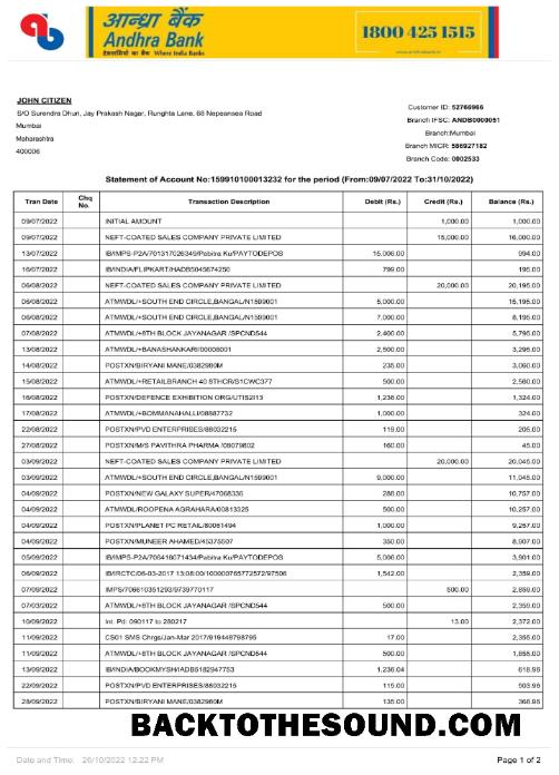 Profesyonel İndir Hindistan Andhra Banka Hesap Özeti Word and PDF Şablon, 2 pages p1 Örnek