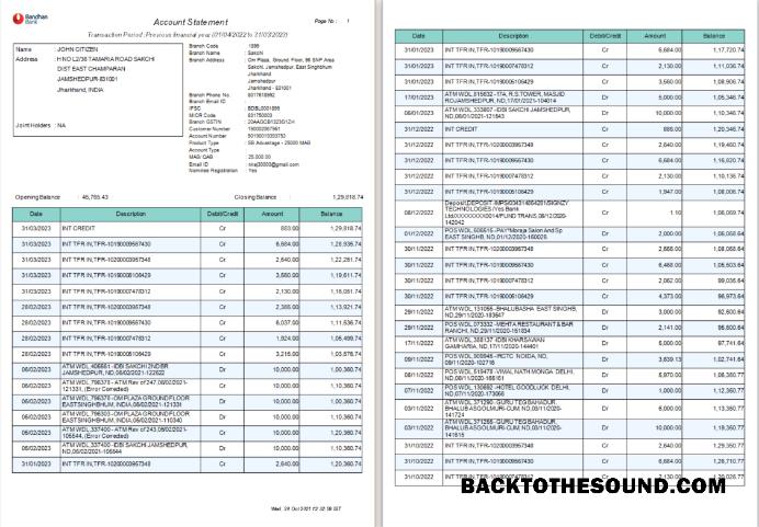 Premium İndir Hindistan Bandhan Banka Hesap Özeti Word and PDF Şablon, 4 pages Örnek
