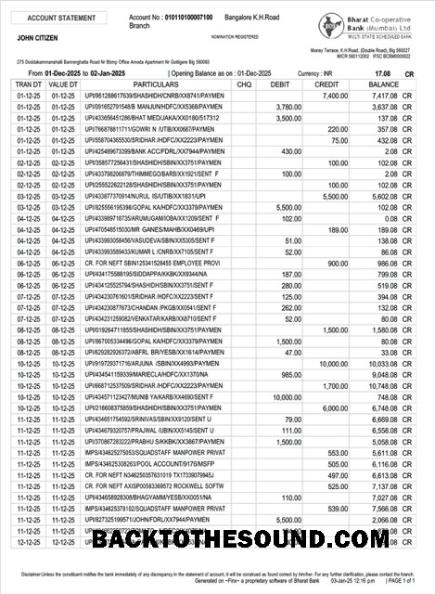 İndir Hindistan Bharat Co operative Banka Hesap Hesap Özeti Word and PDF Örnek örnek