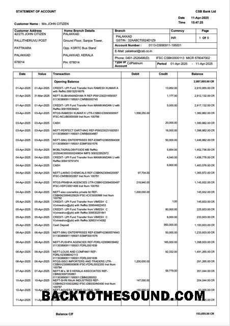 İndir Hindistan CSB Banka Hesap Özeti of Hesap Word and PDF Örnek şablon