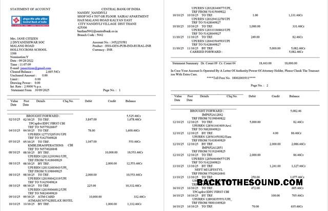 Profesyonel İndir Hindistan Central Banka of Hindistan Hesap Özeti of Hesap Word and PDF Şablon, 2 pages Örnek