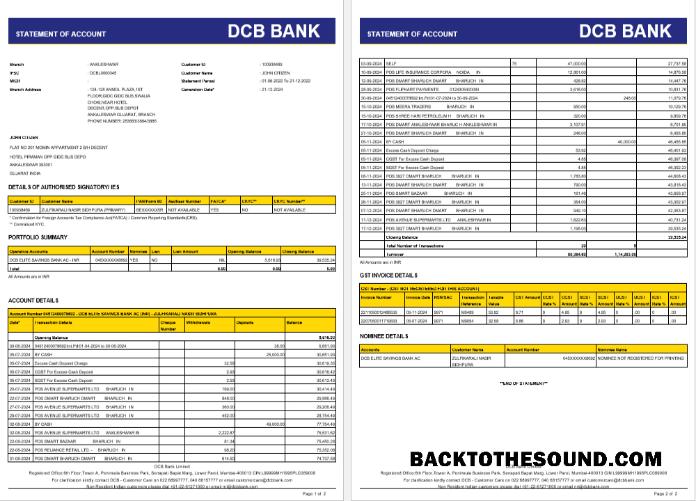 Yüksek Kalite İndir Hindistan DCB Banka Hesap Özeti Word and PDF Şablon, 2 pages Örnek