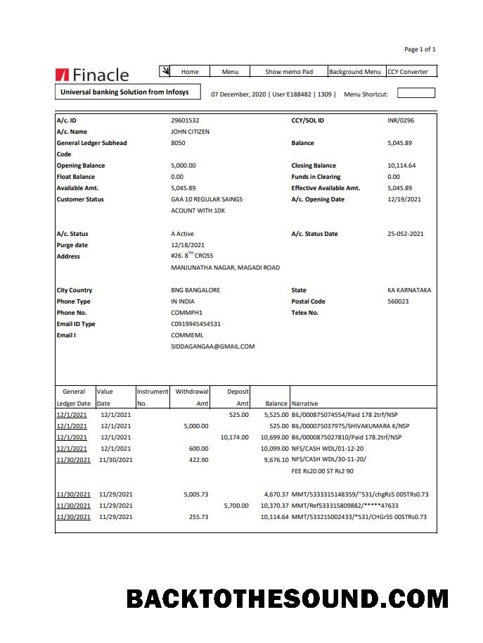 İndir Hindistan Finacle Banka Hesap Özeti easy to fill in Excel and PDF Format Örnek tasarım
