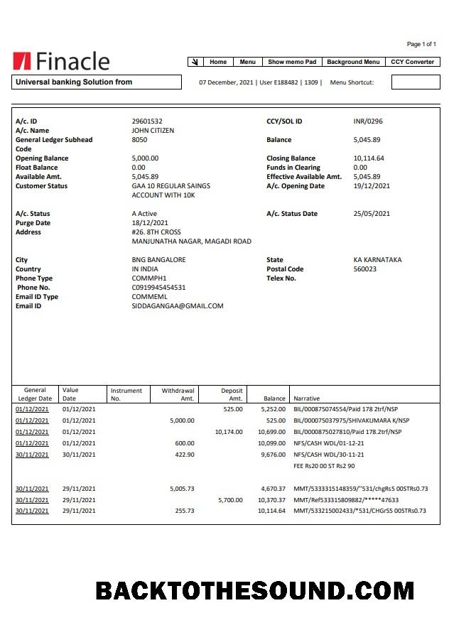 İndir Hindistan Finacle Banka Hesap Özeti easy to fill in Word and PDF Format Örnek örnek