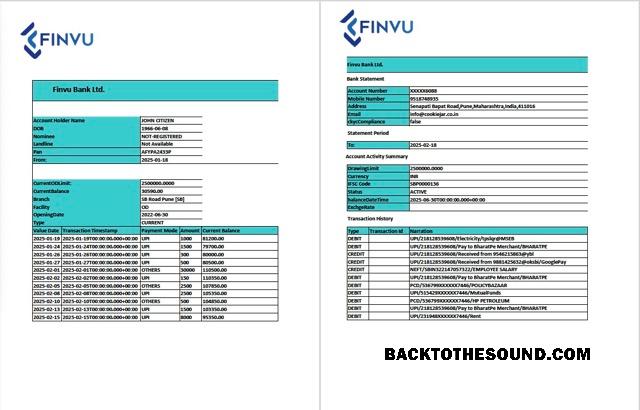Profesyonel İndir Hindistan Finvu Banka Ltd. Hesap Hesap Özeti Word and PDF Şablon, 2 pages Örnek