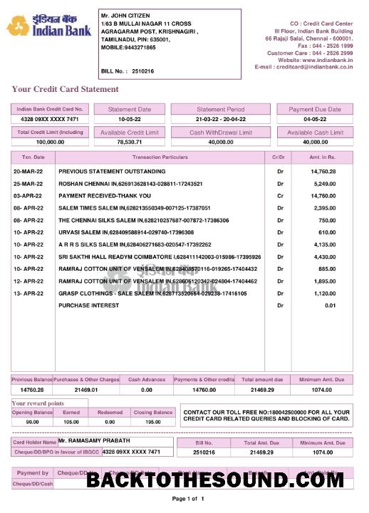 Gerçekçi İndir Hindistan Indian Banka Hesap Özeti Şablon, Word and PDF Format, 2 pages Örnek