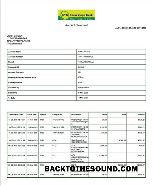 İndir Hindistan Karur Vysya Banka Hesap Hesap Özeti Word and PDF Örnek tasarım