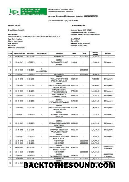 İndir Hindistan Oriental Banka of Commerce Hesap Hesap Özeti Word and PDF Örnek tasarım