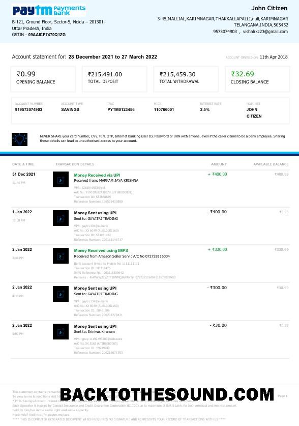 Profesyonel İndir Hindistan Paytm Payments Banka Hesap Özeti Word and PDF Şablon, 2 pages Örnek