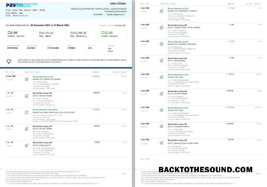 Premium İndir Hindistan Paytm Payments Banka Hesap Özeti Şablon, Word and PDF Format, 2 pages Örnek