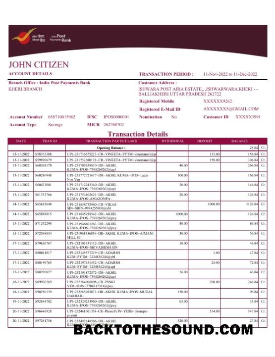 Premium İndir Hindistan Post Payments Banka Hesap Özeti Word and PDF Şablon, 4 pages Örnek