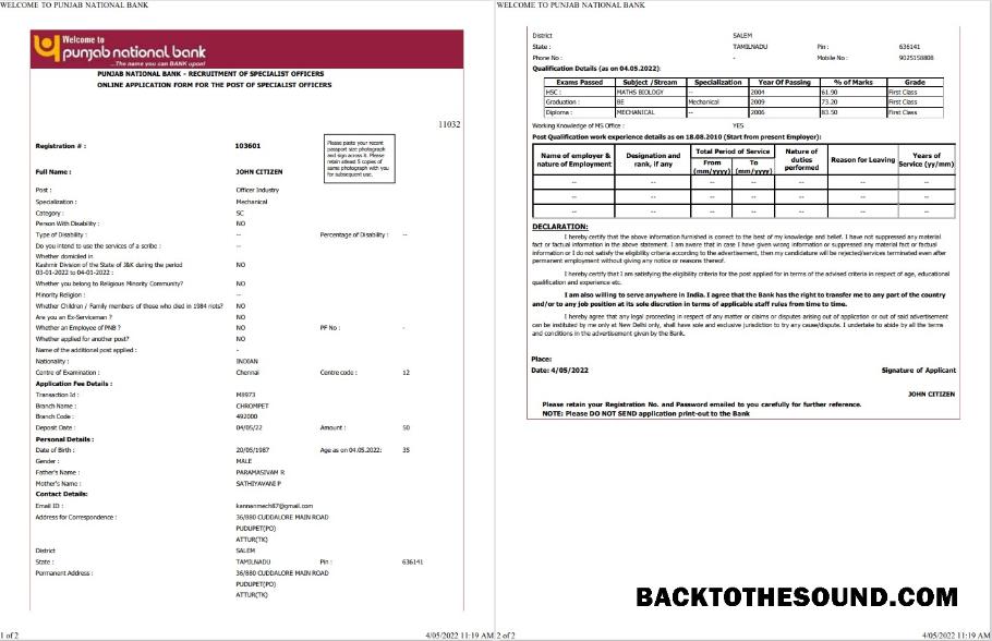 Profesyonel İndir Hindistan Punjab ulusal Banka Hesap Özeti Word and PDF Şablon, 2 pages Örnek