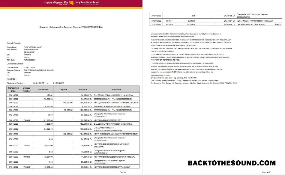 Premium İndir Hindistan Punjab ulusal Banka Hesap Özeti Word and PDF Şablon, 2 pages, Sürüm 2 Örnek