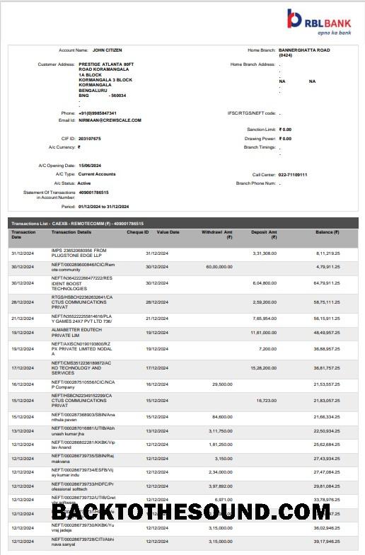 Profesyonel İndir Hindistan RBL Banka Hesap Özeti Word and PDF Şablon, 2 pages Örnek