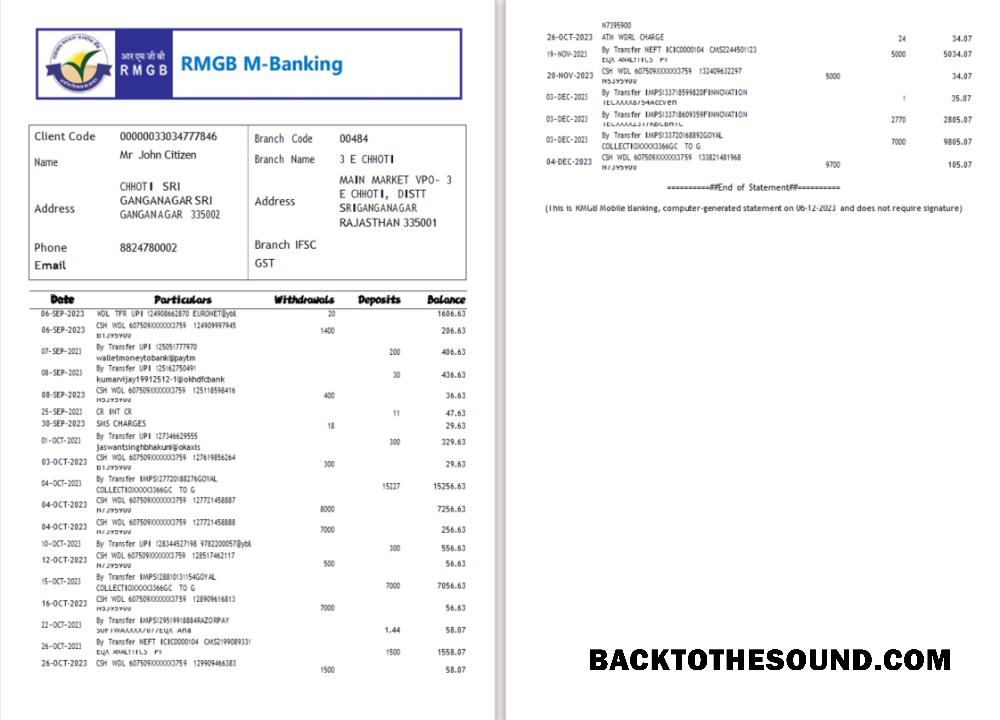 Premium İndir Hindistan RMGB Banka Hesap Özeti Word and PDF Şablon, 2 pages scr Örnek