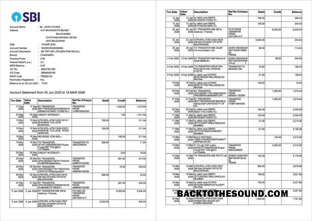 Gerçekçi İndir Hindistan State Banka of Hindistan Hesap Hesap Özeti Word and PDF Şablon, 2 pages Örnek