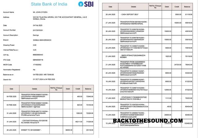 Gerçekçi İndir Hindistan State Banka of Hindistan Hesap Hesap Özeti Word and PDF Şablon, 2 pages, Sürüm 2 Örnek