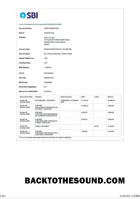 Gerçekçi İndir Hindistan State Banka of Hindistan Hesap Hesap Özeti Word and PDF Şablon, Sürüm 3 Örnek