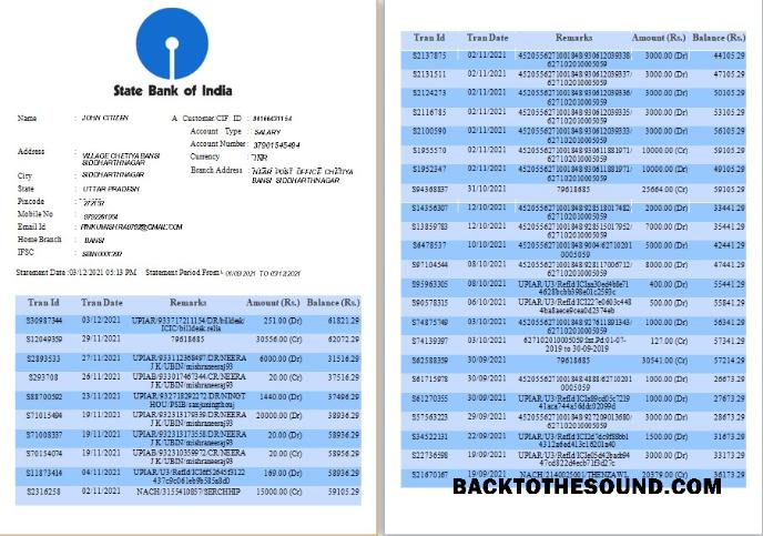 Gerçekçi İndir Hindistan State Banka of Hindistan Banka Hesap Özeti Şablon, Word and PDF Format, 6 pages Örnek