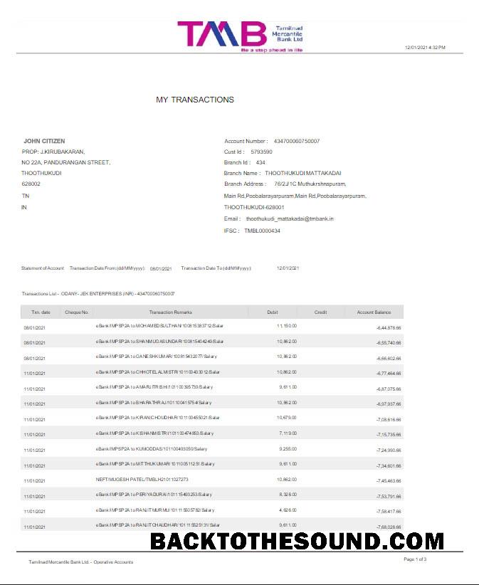 İndir Hindistan TAB Banka Hesap Özeti Word and PDF scr Örnek örnek