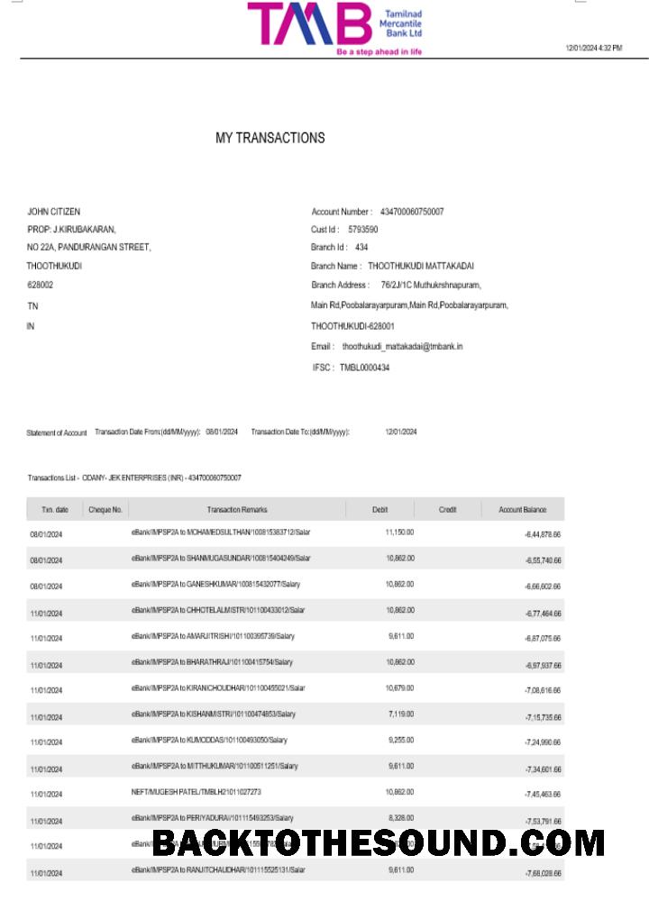 Gerçekçi İndir Hindistan TAB Banka Hesap Özeti Word and PDF Şablon, 2 pages Örnek