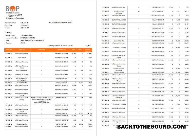 İndir Hindistan The Banka of Punjab (BOP) Hesap Hesap Özeti, 3 pages Örnek ön izleme