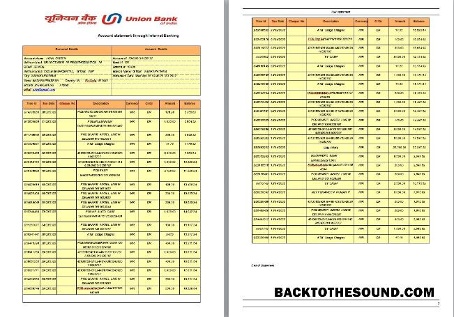Düzenlenebilir İndir Hindistan birlik Banka Hesap Özeti Şablon, Word and PDF Format, 2 pages Örnek