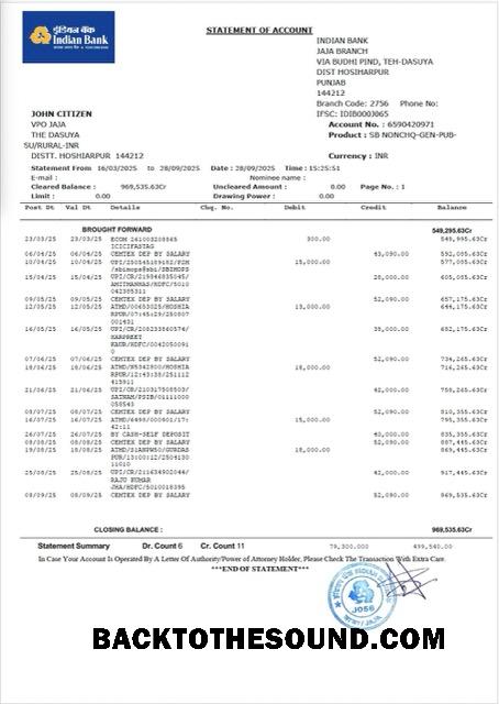 İndir Indian Banka Hesap Özeti of Hesap Word and PDF Örnek ön izleme