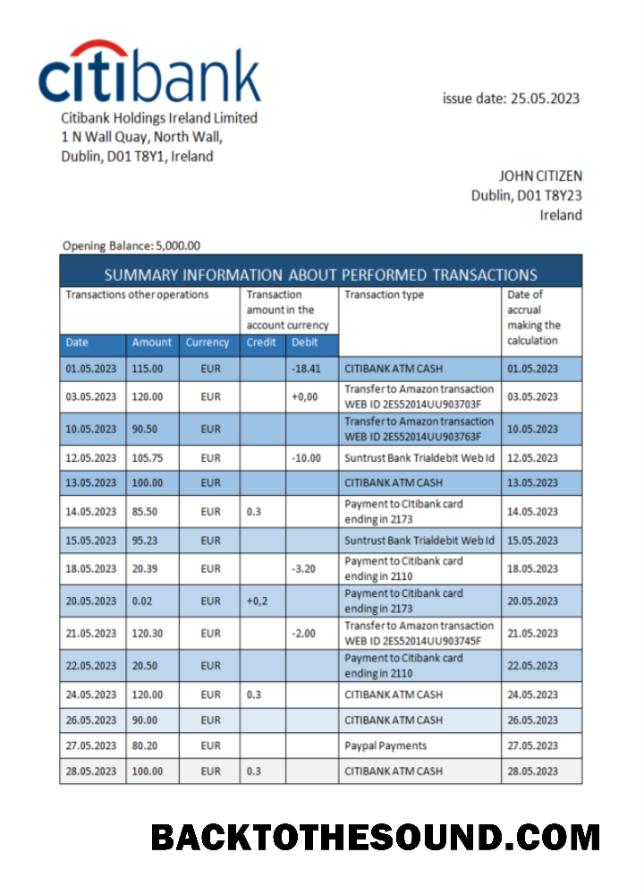 İndir İrlanda Citibank Banka Hesap Özeti Word and PDF Örnek ön izleme