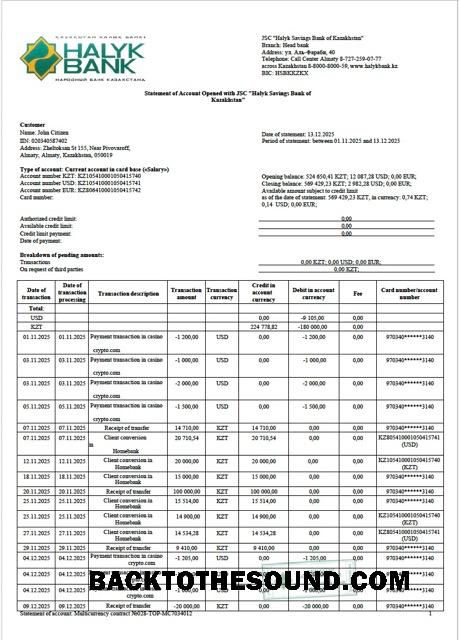 İndir Kazakistan Halyk Banka Hesap Özeti of Hesap Word and PDF Örnek ön izleme