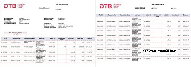 Profesyonel İndir Kenya Diamond Trust Banka Hesap Hesap Özeti Word and PDF Şablon, 2 pages Örnek