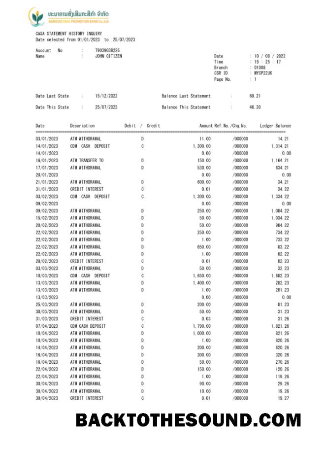 Profesyonel İndir Laos Agricultural Promosyon Banka Hesap Özeti Word and PDF Şablon, 3 pages scr Örnek